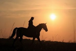 Выйду ночью в поле с конем картинки