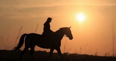 Русская народная – Выйду ночью в поле с конём