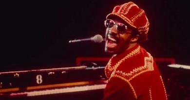 Stevie Wonder - I Just Called To Say I Love You