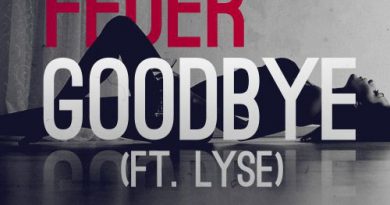 Feder Feat. Lyse - Goodbye