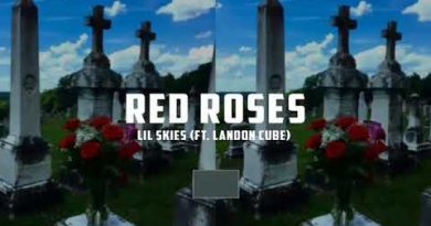Lil Skies, Landon Cube - Red Roses