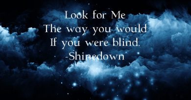Shinedown - Beyond the Sun