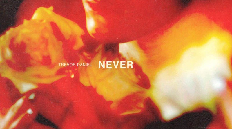 Trevor Daniel - Never