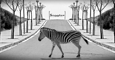 Scooter - Zebras Crossing the Street