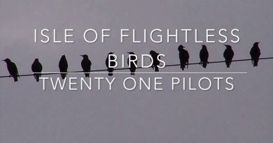 twenty one pilots - Isle Of Flightless Birds