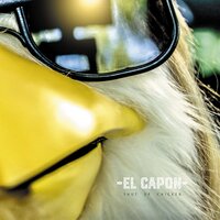 El Capon - Shut Up Chicken Radio Edit