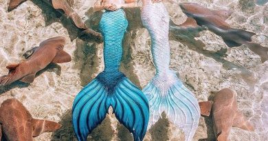 Anfa Rose - Mermaids