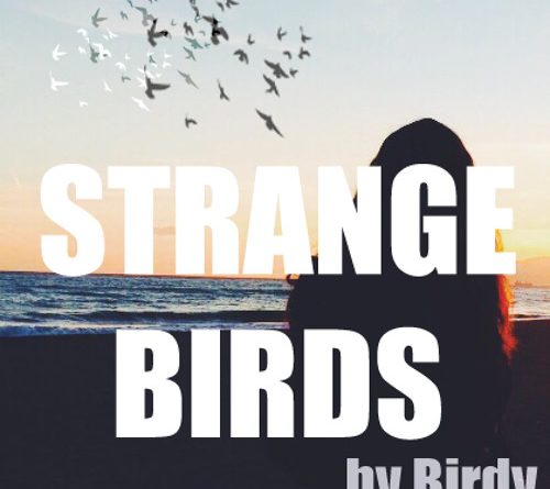 Birdy - Strange Birds