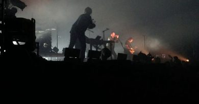 Nine Inch Nails - Branches / Bones