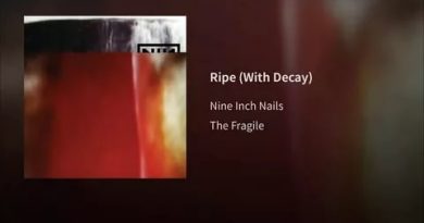 Nine Inch Nails - Complication
