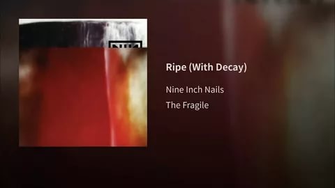 Nine Inch Nails - Complication