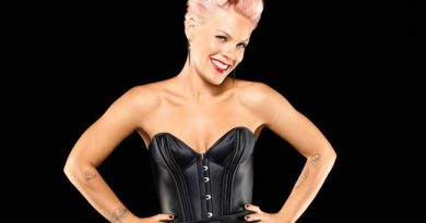 P!nk - Where Did the Beat Go