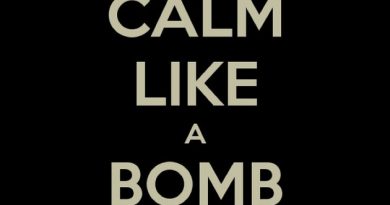 Rage Against The Machine - Calm Like a Bomb