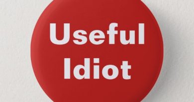 Tool - Useful Idiot