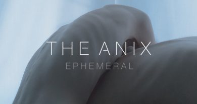 The Anix - Hollow