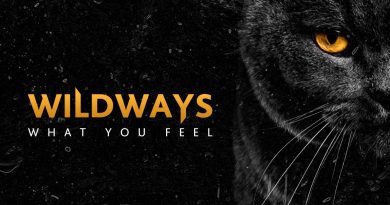 Wildways - What You Feel