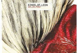 Kings Of Leon - Sex on Fire