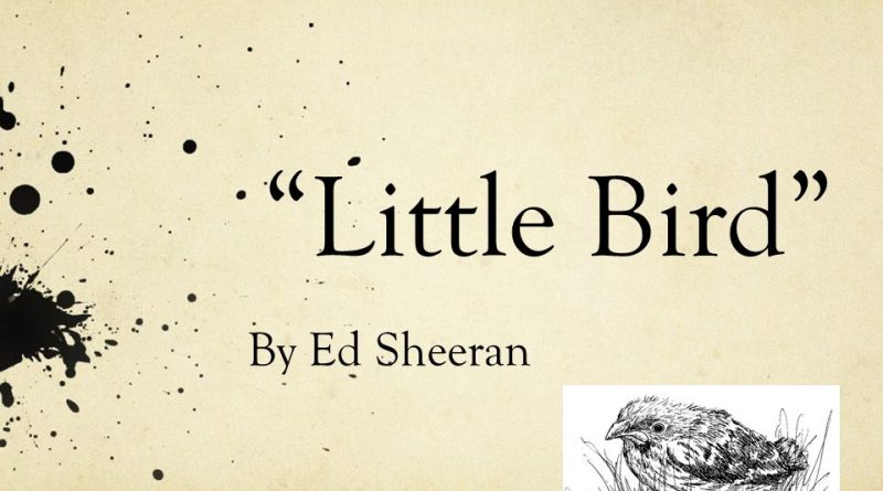 Little Bird - Ed Sheeran