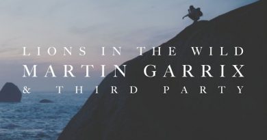 Martin Garrix, Third Party - Lions In The Wild