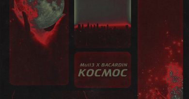 Mull3, Bacardin - Космос