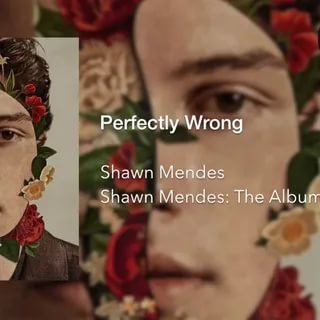Shawn Mendes - Perfectly Wrong