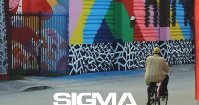 Sigma, Paloma Faith - Changing