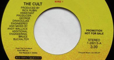 The Cult - Wilderness Now