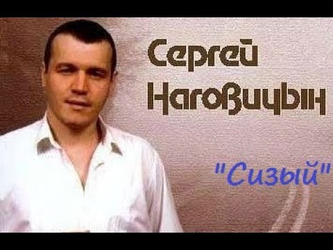Сергей Наговицын - Сизый