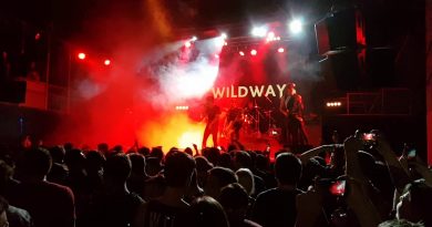 Wildways - New Level