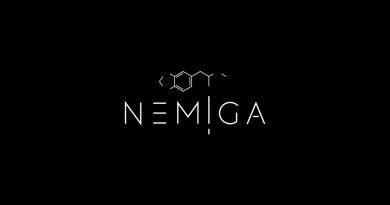 NEMIGA - Мой город