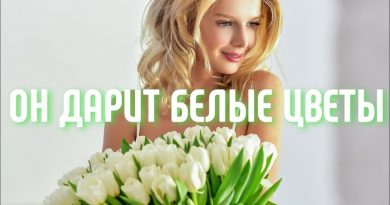 Александр Вестов - Он дарит белые цветы