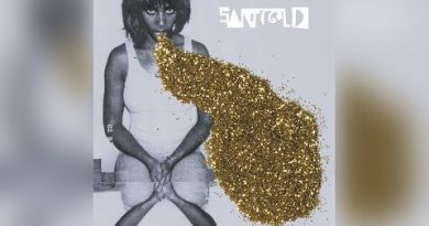 Santigold - Shove It Feat. Spank Rock