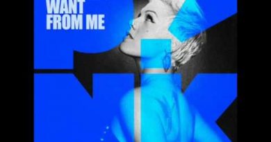 P!nk - Whataya Want from Me