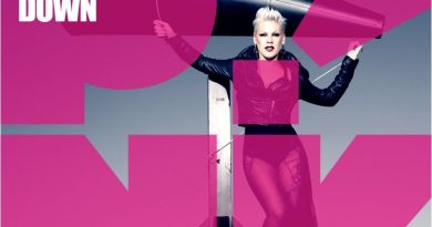 P!nk - Heartbreak Down