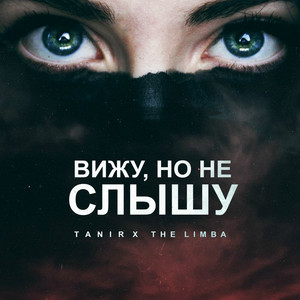 Tanir feat The Limba - Вижу, но не слышу