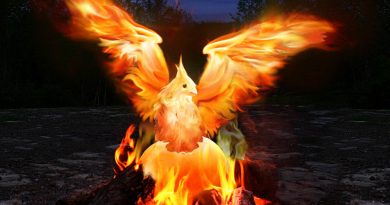 Pyrokinesis - Бумажный феникс