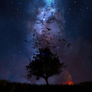 May Wave$-Моя музыка