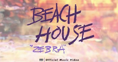 Beach House - Zebra