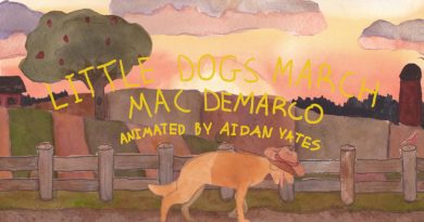 Mac DeMarco - Little Dogs March