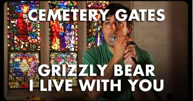 Grizzly Bear - I Live With You