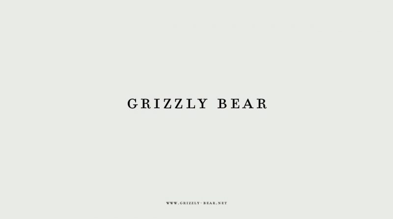 Grizzly Bear - Sleeping Ute