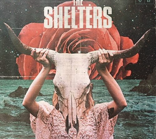 The Shelters - Birdwatching