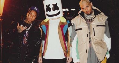 Marshmello, Tyga, Chris Brown - Light It Up