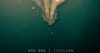 Wye Oak - Two Small Deaths