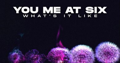 You Me At Six – What It's Like