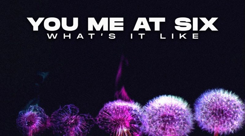 You Me At Six – What It's Like