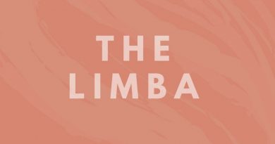 The Limba - Всё просто