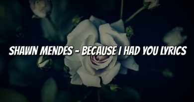 Shawn Mendes - Because I Had You