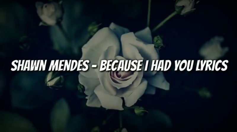 Shawn Mendes - Because I Had You