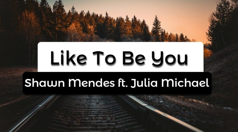 Shawn Mendes, Julia Michaels - Like To Be You